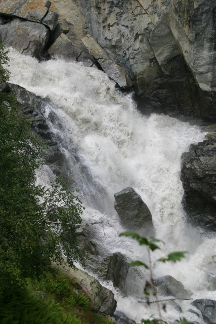 485_IMG_5853