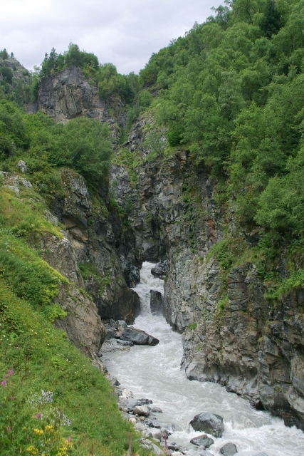 486_IMG_5866