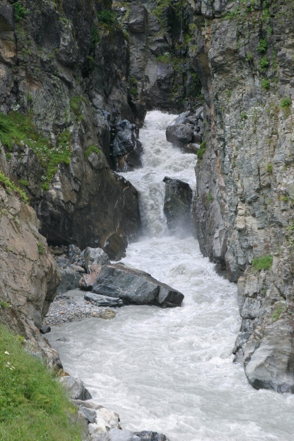 487_IMG_5867