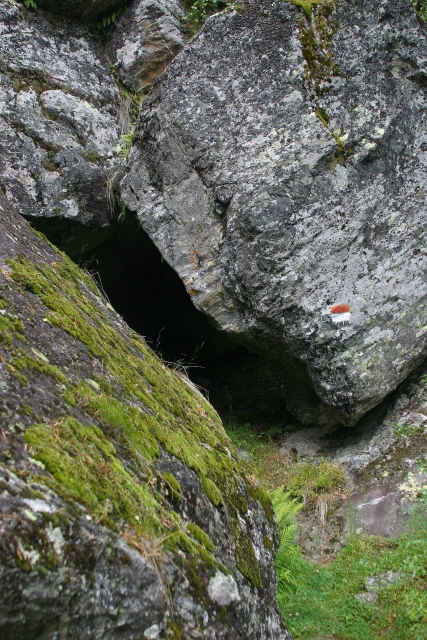490_IMG_5875