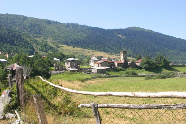 495_IMG_5885