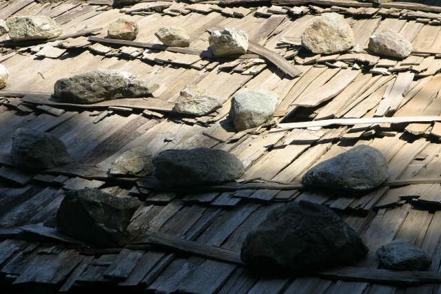 510_IMG_5910