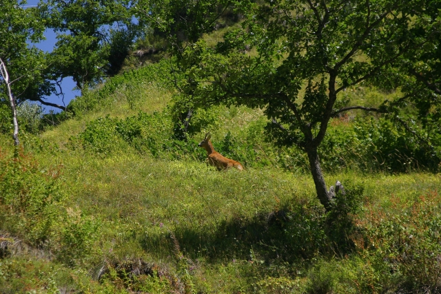 547_IMG_5995
