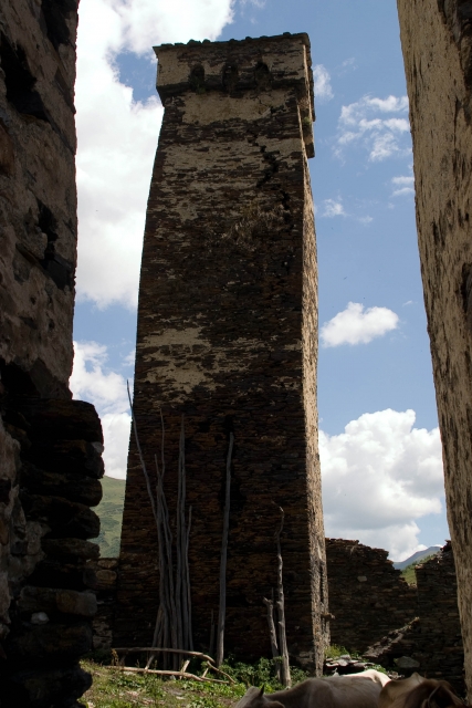 572_CRW_6057