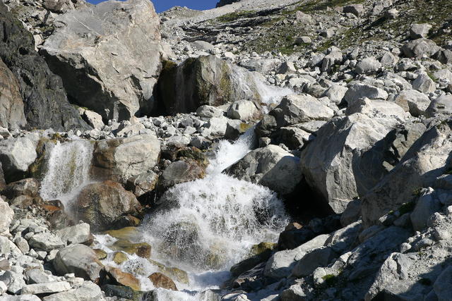 266_IMG_9786s