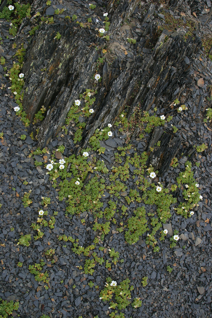 300_IMG_9865s