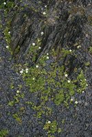 300_IMG_9865s