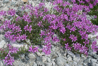 322_IMG_9908s