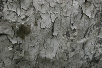 325_IMG_9914s