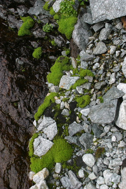 326_IMG_9919s