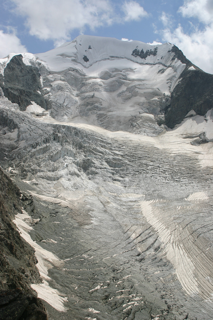 363_IMG_9985s