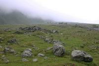 396_IMG_0027s
