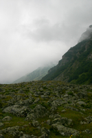 397_IMG_0028s
